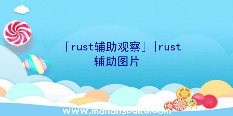 「rust辅助观察」|rust辅助图片